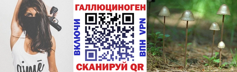 Псилоцибиновые грибы GOLDEN TEACHER  купить наркотики сайты  blacksprut ССЫЛКА  Сокол 