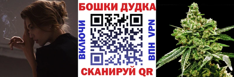 как найти закладки  Сокол  Бошки марихуана сатива 